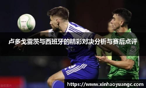 卢多戈雷茨与西班牙的精彩对决分析与赛后点评